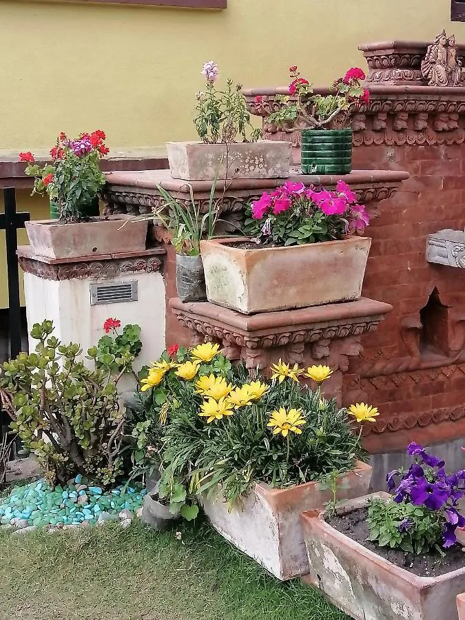 Tara Art House Bed & Breakfast Lalitpur Nepal